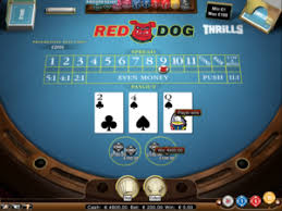 Red Dog